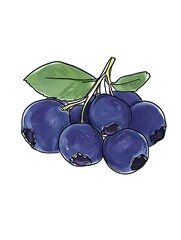 Fresh Juicy Blueberries Cluster, Berries Branch, Summer Fruit, Healthy Food