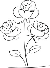 hand drawn vector illustration of rose