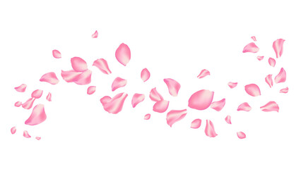 rose and sakura flying petal romantic background vector