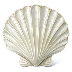 White elegant sea jacobean scallop shel isolated on transparent background