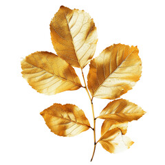 Golden Leaves Branch Art Print Elegant Luxury Decor Botanical Illustration