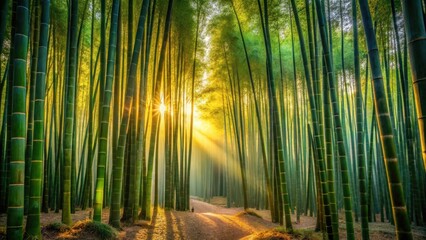 Fototapeta premium Golden Sunrise Illuminates a Serene Bamboo Forest Path