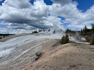 Yellowstone National Park preserves the most extraordinary collection of hot springs, geysers,...