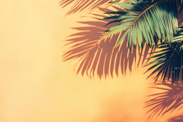 palm tree shadows on pastel orange background wall mockup isolated on white background