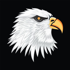 Eagle Head Logo Design . Head of an angry eagle vector illustration .