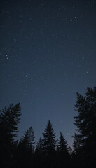 Bright Constellations Over a Calm Forest