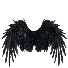 Majestic Pair of Dark Raven Wings Isolated on White Background Digital 3D Render