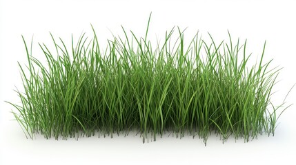 Fototapeta premium Lush Green Grass Tuft Isolated on White