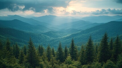 Fototapeta premium Majestic sunset over vast, layered mountain range with lush evergreen forest in foreground.