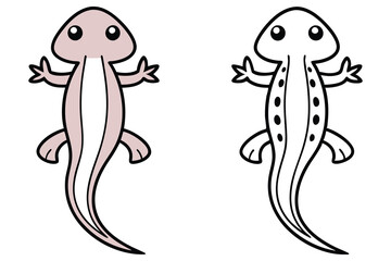 Adorable Cartoon Newt Illustrations Color and Outline Drawings for Kids