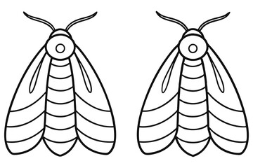 Two Line Drawings of Moths with Striped Bodies and Wings