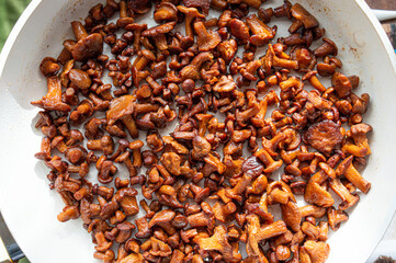 golden chanterelle mushrooms fried in oil. The mushrooms are laid out in a pan in the plane of the picture from above. Beautiful mushrooms brown or orange in a pan cooked in oil. High quality photo