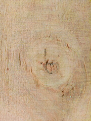 wood texture background with natural figure, wooden panels surface for ceramic wall tile design and floor tile design