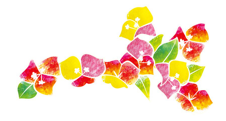 Cutout style bougainvillea