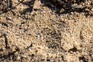 The texture of the sand