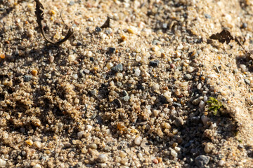The texture of the sand