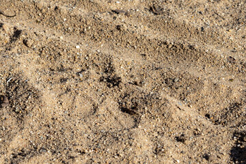 The texture of the sand