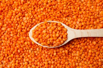 Red lentils in a spoon