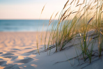 Enchanting fusion of undulating dunes and graceful beach grass, encapsulating seamless interplay of these coastal constituents and serene ambiance they conjure  