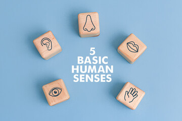 Five wooden blocks with minimalist icons represent the five basic human senses: an eye for sight, an ear for hearing, a nose for smell, lips to taste, and a hand to touch, on a soft blue background