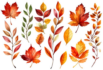 Obraz premium set of autumn leaves on white background, watercolor illustration