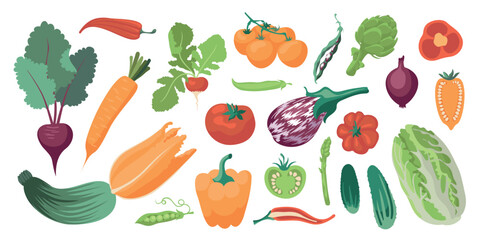 Vegetarian diet food. Vegetables in the flat style. A large set of beautiful vector vegetables