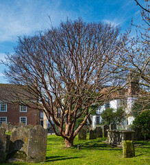 The churchyard at the Church of Saint Mary, Rye