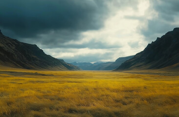 Obraz premium Cinematic wide shot of Icelandic valley with yellow grass and dark mountains under cloudy sky
