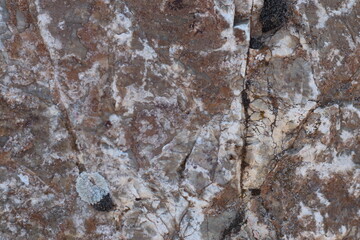 Elegant Marble Texture | Natural Stone Pattern | High-Resolution Abstract Background