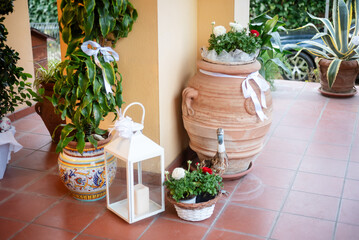 Charming outdoor decor with plants and lights