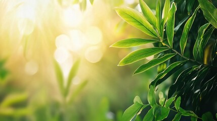 Soft golden sunlight streaming through a dense green forest, natural mist in the air, blurred depth, peaceful and dreamy atmosphere