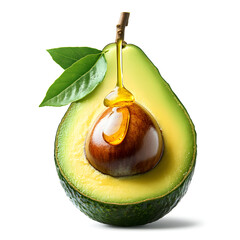 avocado on a white