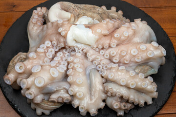 Raw octopus on the plate