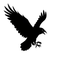 Obraz premium Majestic Raven in Flight: A Striking Silhouette Against a White Background