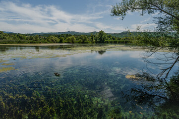 Posta Fibreno lake nature reserve, Frosinone, Italy