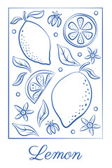 Hand drawn lemon fruits, flowers and leaves. Vintage sketch of citrus fruits with word Lemon. Vector botanical illustration for posters, flyers, cards, invitations, banners, pattern