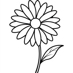 White Daisy Flower on Black Background Vector Illustration