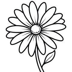 White flower on black background with floral design and natural elements