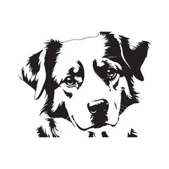 vector illustration of a black dog