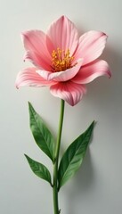 Obraz premium Simple and elegant flower on a clean background, fresh