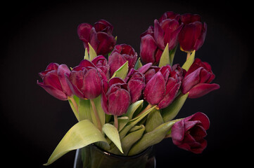 bouquet of tulips