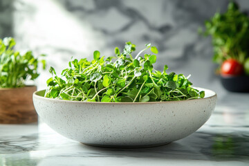 Fototapeta premium Fresh microgreens in a stylish bowl captured in soft morning light with a blurred background of kitchen produce for a vibrant culinary vibe