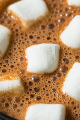 Sweet Warm Homemade Hot Chocolate with Marshmallows