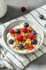 Sweet Healthy Homemade Greek Yogurt with Granola for Breakfast