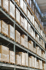 Warehouse With Tall Racking Systems to export logistics or warehouse for backdrop and design element use.