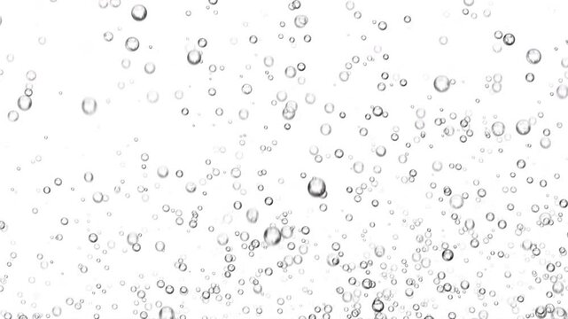 Animation of underwater fizzing air bubbles on white background. Fizzy sparkles in water, sea, aquarium, ocean. Effervescent drink.