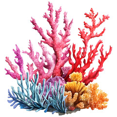 Corals watercolor clipart