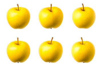 Group of fresh yellow apples neatly arranged on black background, cut out transparent