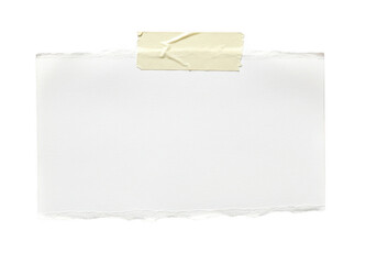 A close-up of a rectangular piece of torn white paper with rough uneven edges isolate on transparent background