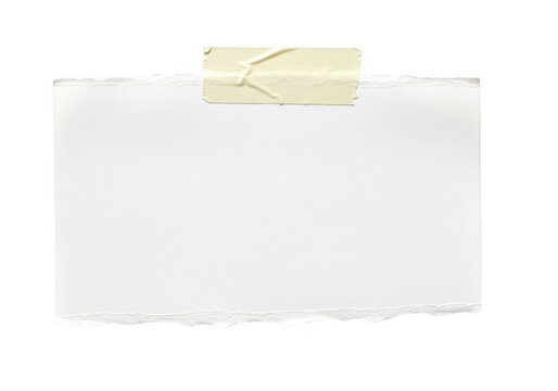 A close-up of a rectangular piece of torn white paper with rough uneven edges isolate on transparent background